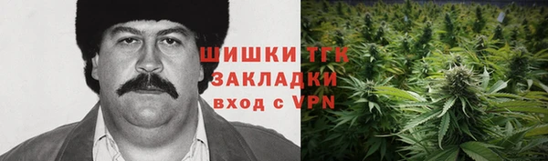 мяу мяу мука Бородино