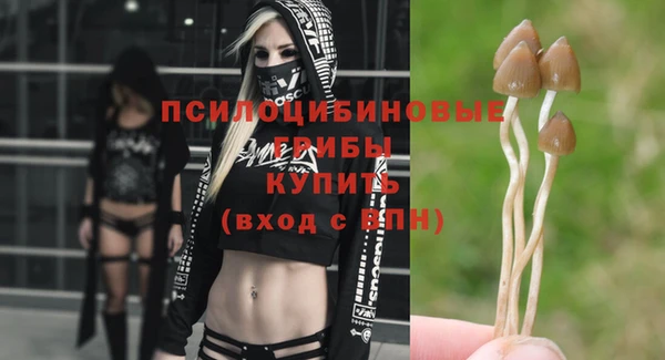 ALPHA PVP Алапаевск