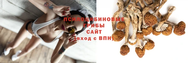 мяу мяу мука Бородино