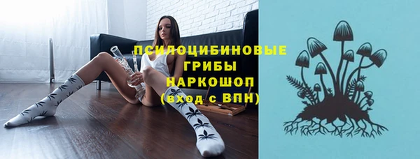 мяу мяу мука Бородино