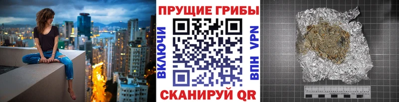 Псилоцибиновые грибы Psilocybine cubensis  Бронницы 